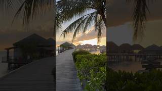 Adaaran Prestige Vadoo || Resort in Maldives #maldives #adaaran #adaaranprestigevadoo