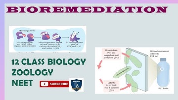 Bioremediation I Principles and Processes of Biotechnology I Botany I Class 12 | TNSCERT/CBSE | NEET