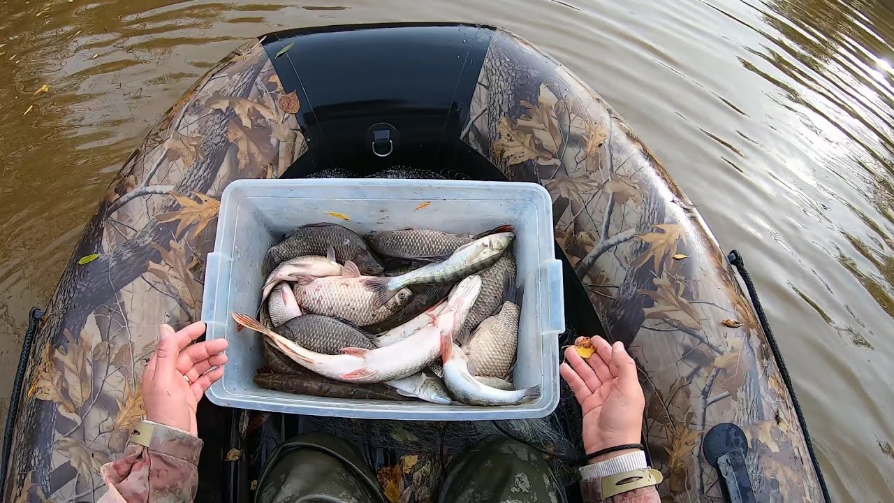 Fishing life в злом. Сеть на речке. Fishing life андроид. Фишинг лайф тв. Фишинг лайф тв.