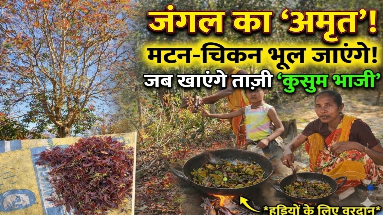 मटन-चिकन भी भूल जाएंगे! 😲 जब खाएंगे जंगल की जादुई कुसुम भाजी 🌿shiva Sunita family vlog 🫕🍲