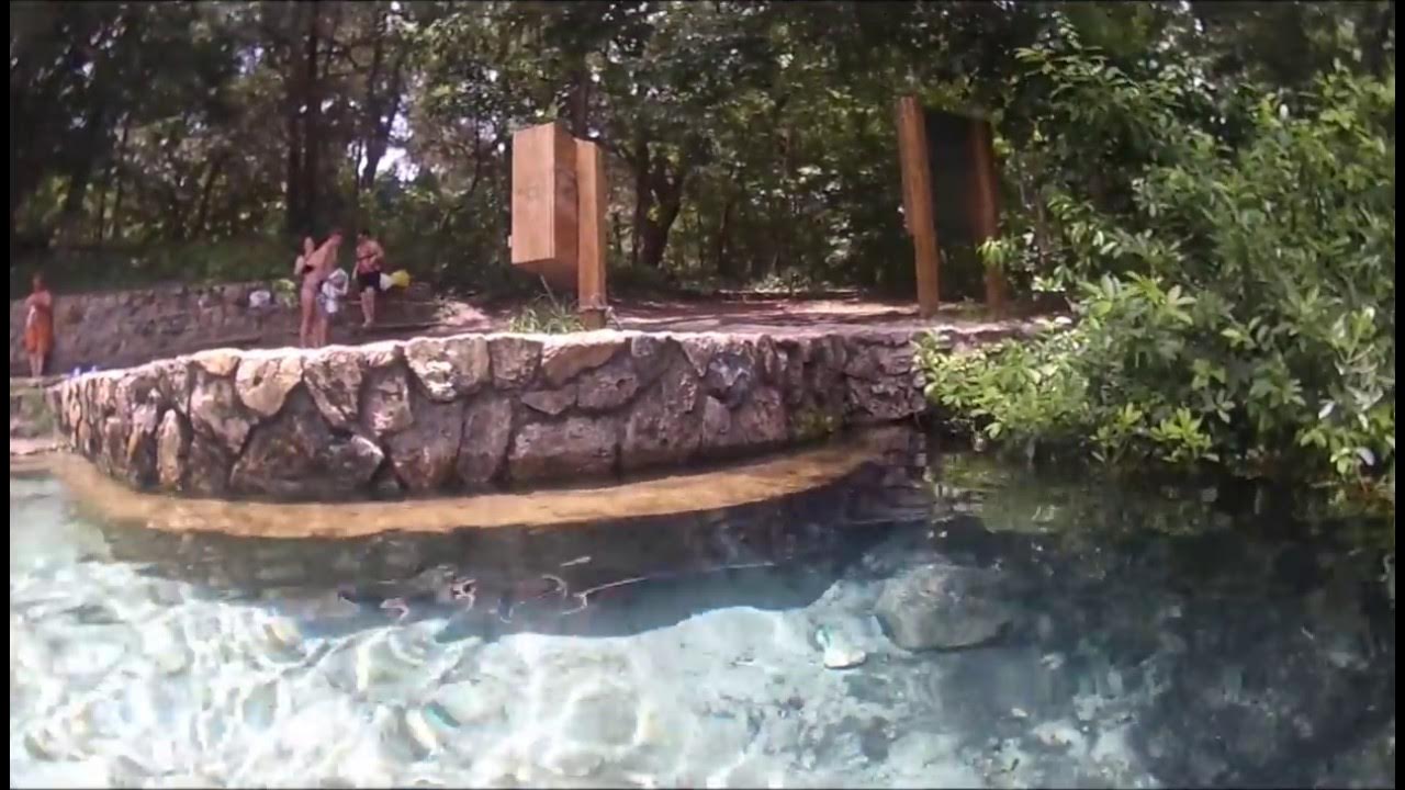 Ichetucknee Springs Near Gainesville Florida Gopro Underwater Footage YouTube