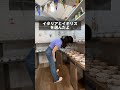【9割が知らない！】コインリング作りが楽しすぎた　#shorts