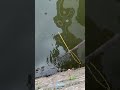 River Magnetic Retrieval Tool Practical Demonstration