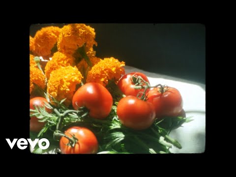 Jamila Woods - Practice ft. Saba (Official Visualizer)