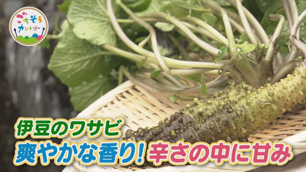 イワヒバ Gourmet Country Style ~A refreshing aroma! Sweetness amidst the