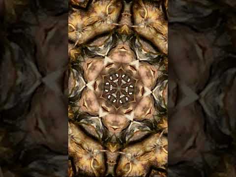 Was ist das? Ratet mit | Der Elefant | WDR #shorts #animation