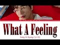 Sung Si Kyung (성시경) - What A Feeling [Color Coded Lyrics/Han/Rom/Eng]