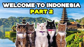 30 minutes CAT MEMES GO TO INDONESIA Part 2 by Tuns ider 532 views 4 weeks ago 31 minutes