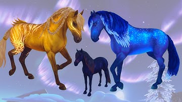 Animated Coats Christmas Color Changing Horses in Star Stable