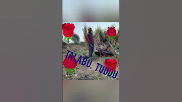 Talabu Tuddu 2024 2025 