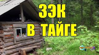ЗАКЛЮЧЁННЫЙ В ТАЙГЕ ЗАКЛЮЧЁННЫЙ В ТАЙГЕ