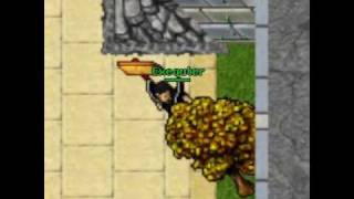 Bot  Para tibia 8.54