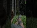 Que game magnífico 🤩 #tlou2 #tlou #thelastofus #thelastofusremastered