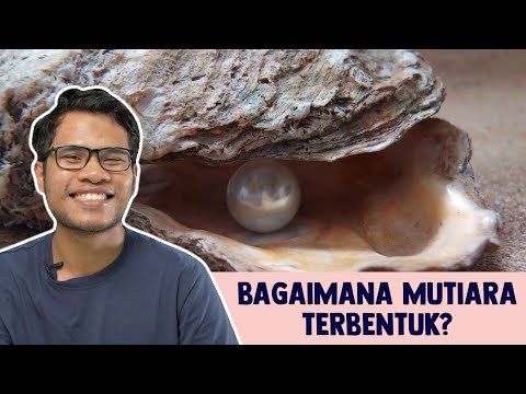 Video: Apa Itu Perkahwinan Mutiara