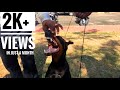 Dog Show in India||Kochi Kerala 2018 highlights Dog Show in India||Kochi Kerala 2018 highlights