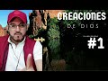 CREACIÓN DE DIOS #1 / Escuela Profetica /Apostol Rafael Ramirez / palabras del REINO