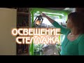 Освещение фиалок дома | Стеллаж | Советы по уходу за фиалками #04 | Мои фиалки