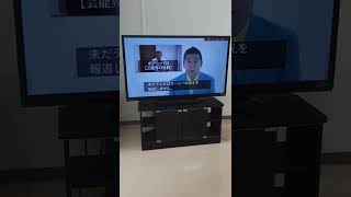 NHK党 政見放送2