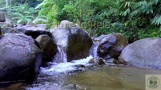 Tranquil River ASMR 🌿 Flowing Water Sound for Deep Relaxation