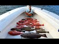 INSANE Offshore Fishing in Gulf of Mexico! Catch Clean & Cook Red Snapper!