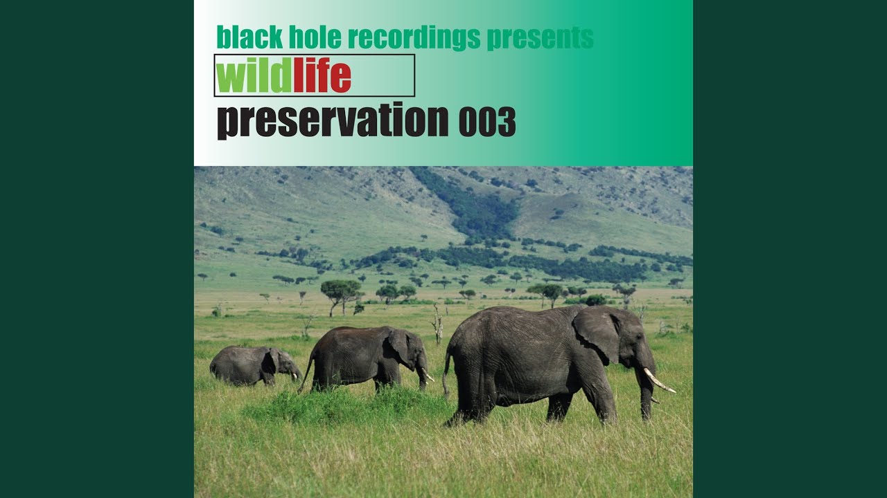 Guarda Like It su YouTube Guarda Like It su YouTube