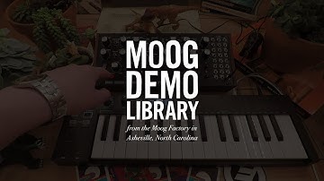 DFAM | Using DFAM’s Sequencer as an Oscillator