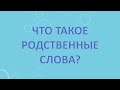 Что такое родственные слова?