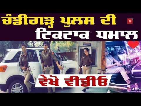 Tik Tok ਦੀ ਸ਼ੌਕੀਨ ਚੰਡੀਗੜ੍ਹ Police `ਤੇ ਹੋਵੇਗੀ ਕਾਰਵਾਈ