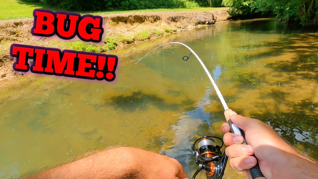 How to Catch Fish in the