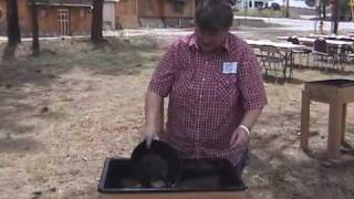 Gold Panning in Big Bear