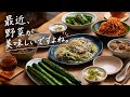 今日も野菜が主役の、いつも通りのごはんです。