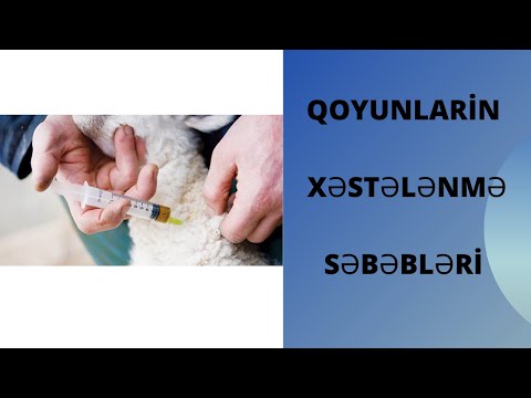 QOYUN XESTELENME SEBEBLERİ