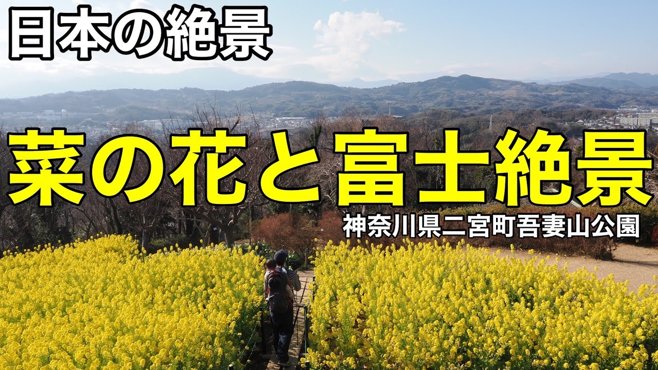 Japan's Greatest Sights] A Must-See at Least Once in a Lifetime