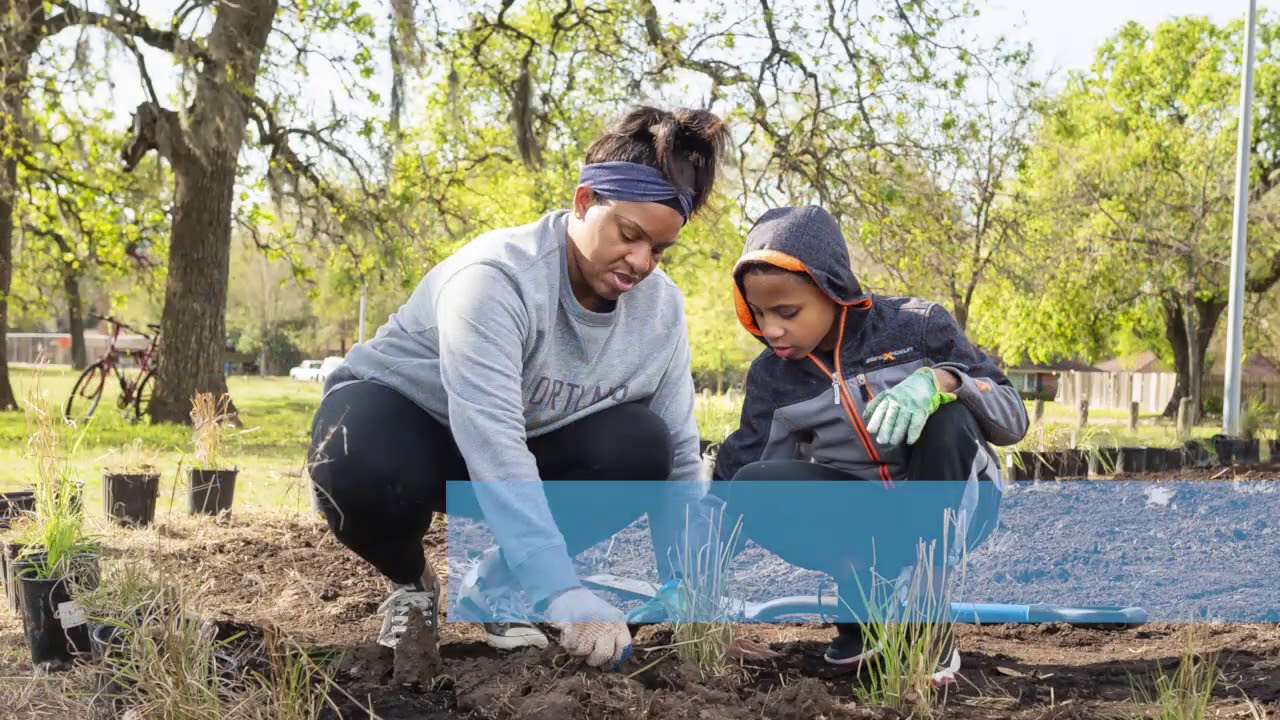 Updated Visit Watonga Bridge Bat Colony YouTube