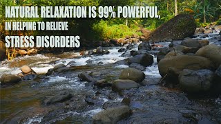 NATURAL RELAXATION IS 99% POWERFUL,IN HELPING TO RELIEVE STRESS DISORDERS #asmr #forestriversounds