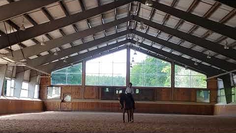 Half pass in walk and small trot