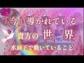 097.eriko耳🩷新世界へ・・✨🌈「今」導かれている貴方の世界👼☀️水面下で動いていること🍀🪐☄️オラクル💜ルノルマン💎タロット🌹愛🩷癒し🐈希望🌟