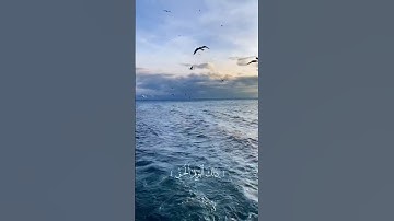 ما تيسر من سورة النبأ من الآيه إلى ٣٠ إلى الآيه٤٠ للقارئ الشيخ علي السبعاوي