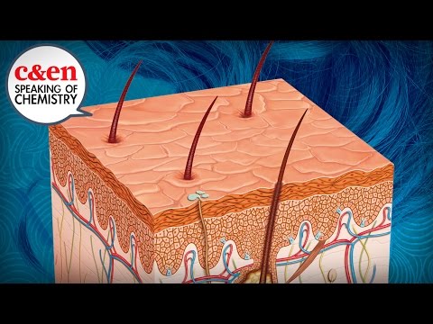 Why Does Your Hair Turn Gray? – Speaking of Chemistry - YouTube