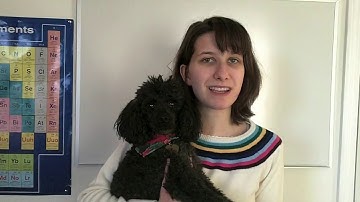 Quantum Computing : Quacee - Open Source Software Release