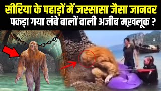 Dajjal Ka Jasoos Jasha Syria Mein Pakda A? Sach Ya Jhooth Lambe Balo Wali Ajeeb Makhlooq