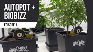 Autopot Biobizz - Episode 1