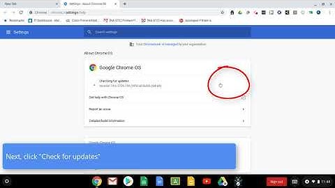 Updating Chromebooks using Gopher Buddy