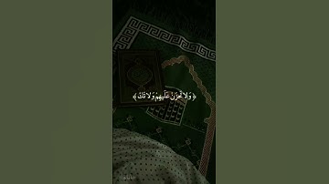 "ولئن صبرتم لهو خير لصابرين واصبر وماصبرك إلا بالله"سورة النحل 126 128بصوت خاشع للشيخ خالد الجليل