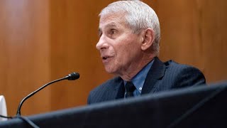 Dr. Anthony Fauci testifies on booster shots and Covid's origin