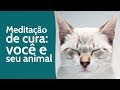 Meditação guiada de cura para você e seu animal