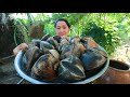 Ocean Clam June Plum Salad Cooking - Cooking With Sros