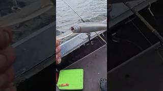 #fishing #дніпро #спінінг