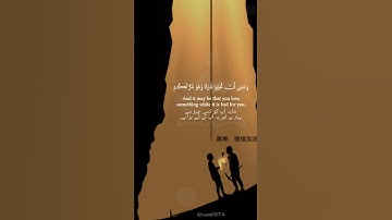 ايات من سورة البقرة وعسى ان تكرهوا شيئا وهو خيرا لكم ، قران ، quran