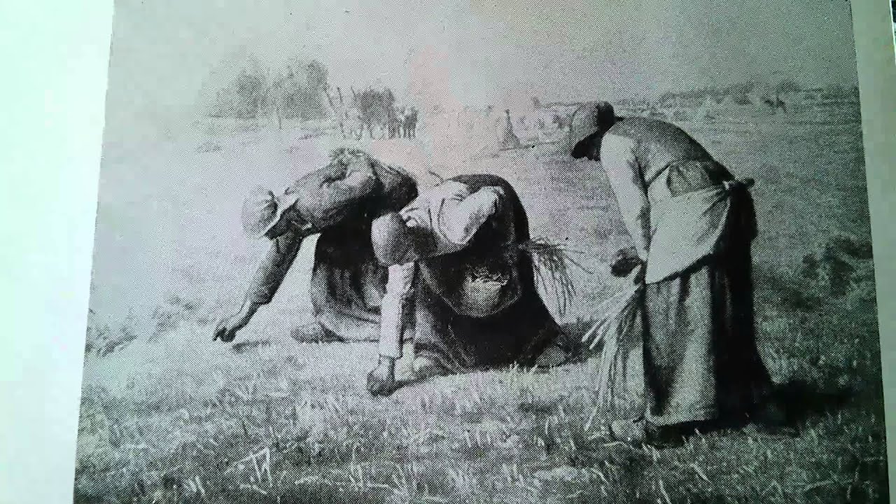 Описание картины жан франсуа милле собирательницы колосьев